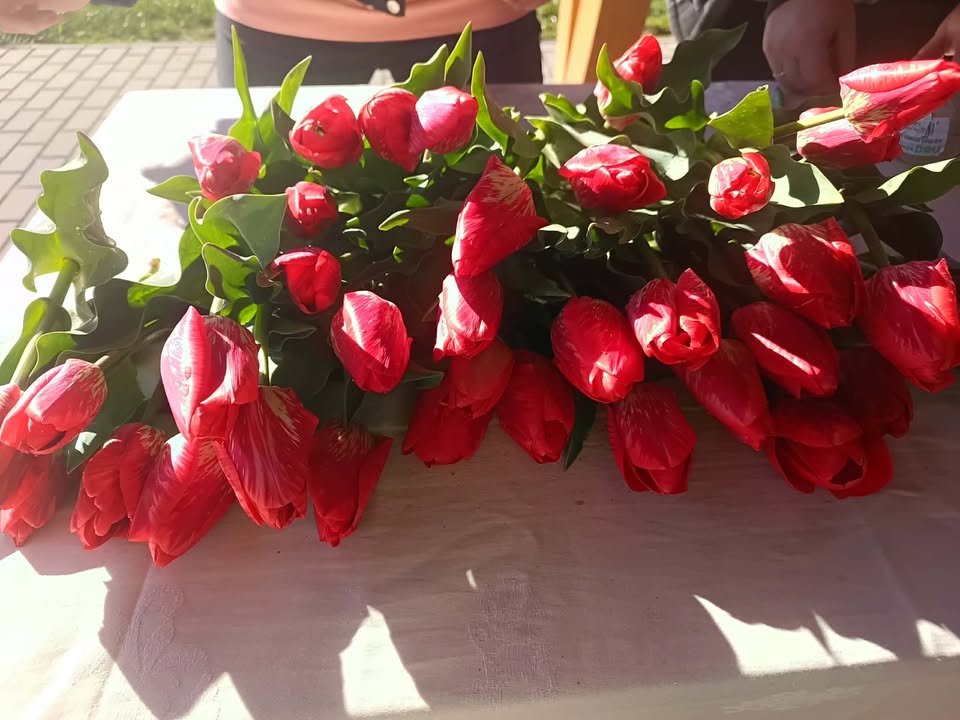 Botond napi piac